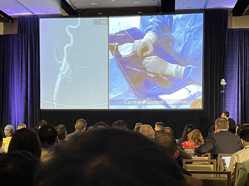 Strengthening the foundations of INR Practice: Day 2 of the LINNC Seminar 2024 - Americas Edition! 