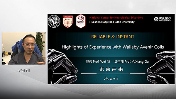 Framing, filling, finishing and stability – Presenting Wallaby Medical’s Avenir Coil System