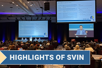 300x200-SVIN