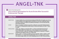 300x200-angel-tnk
