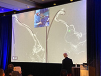 Aneurysms, AVMs and more at LINNC Americas 2023