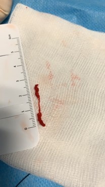 Cloth