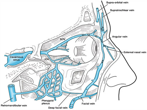 Clinical and Experimental Ophthalmology