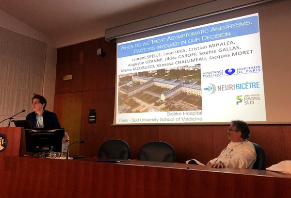 Laurent Spelle at 3rd Regional Course in Diagnostic and Treatment of Spontaneous Intracranial Bleeding