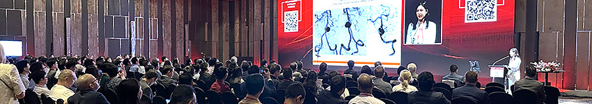 LINNC Asia 2024