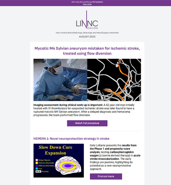 Newsletter of August 2025
