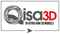 Qisa 3D