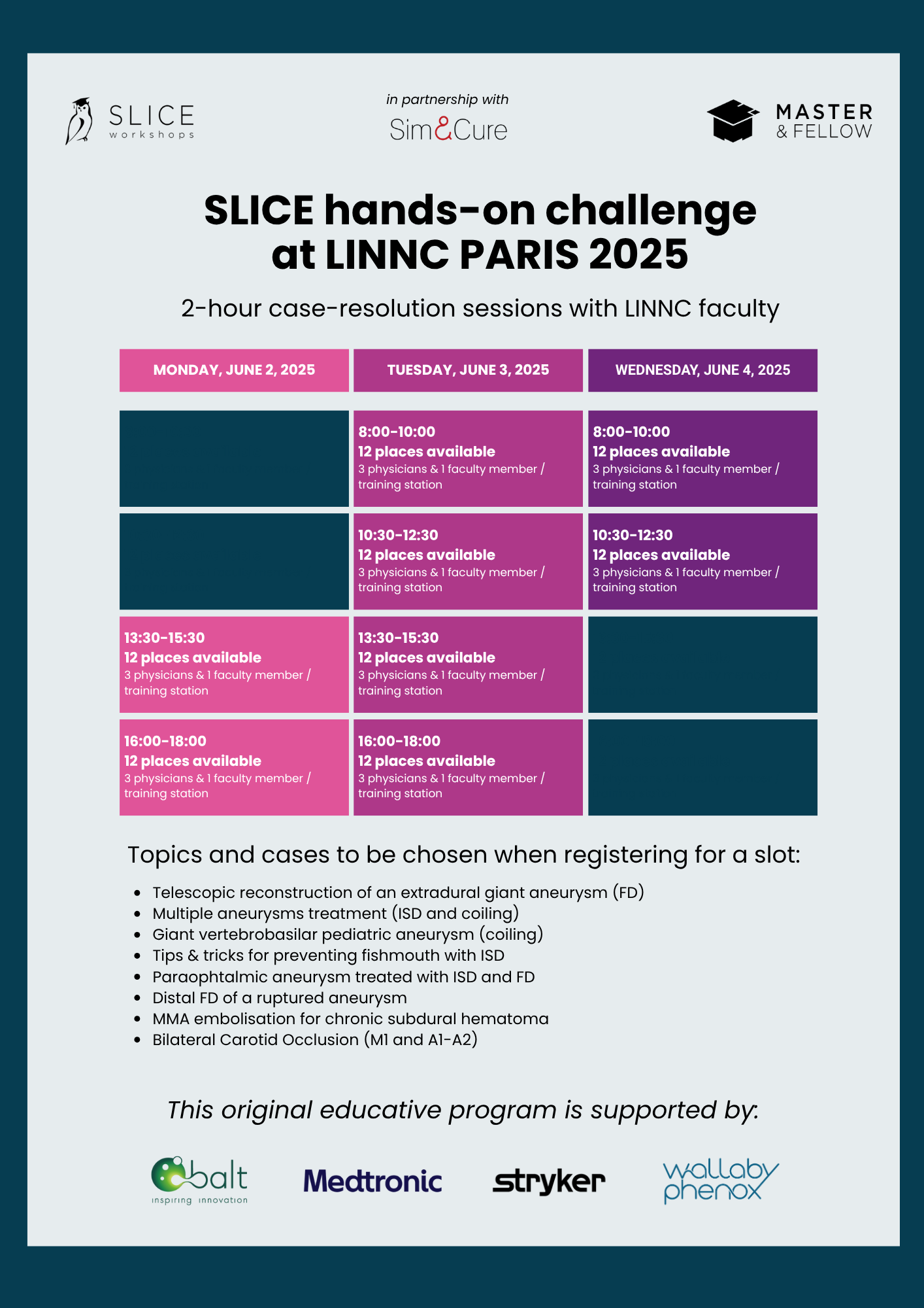 Come and treat complex stroke pathologies with the LINNC faculty - Slice Hands-on Challenge at LINNC Paris