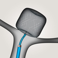 WEB Illustration in anatomy